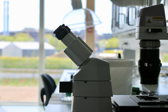 Microscope